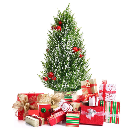 Topbuy 18.5'' Realistic Christmas Tree Tabletop Artificial Xmas Tree w/ 170 Snowy Tips 6 Pomegranate Clusters