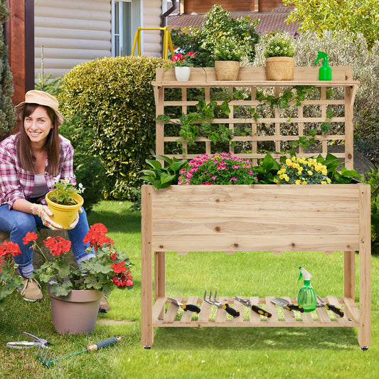 Topbuy Raised Garden Bed with Trellis 41.5x16x54 Inch Mobile Elevated Planter Box with Wheels Bed Liner Top/Bottom Storage Shelves