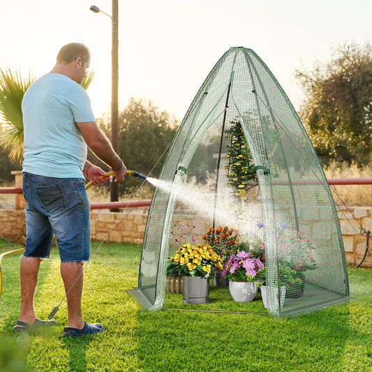 Topbuy 63'' x 63'' x 72'' Walk-In Greenhouse with Roll-Up Window & Door Hexagonal Green House with Metal Frame & Waterproof PE Cover